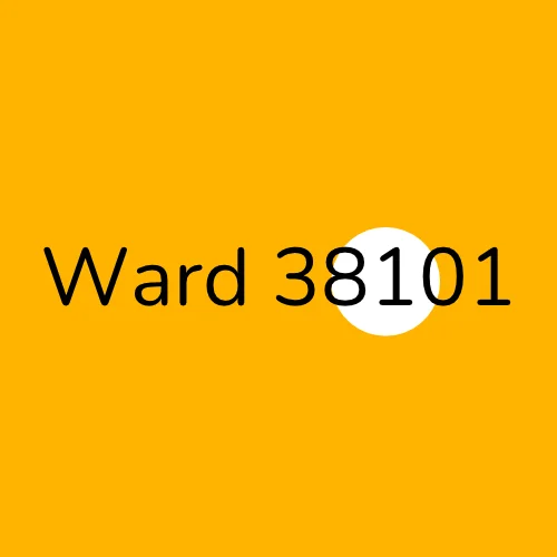 Ward 38101 plumber