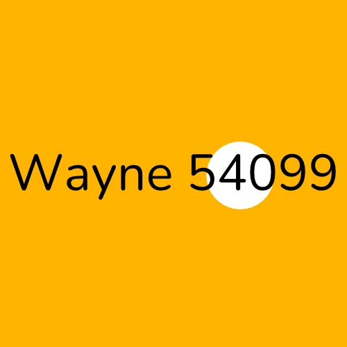 Wayne 54099 plumber