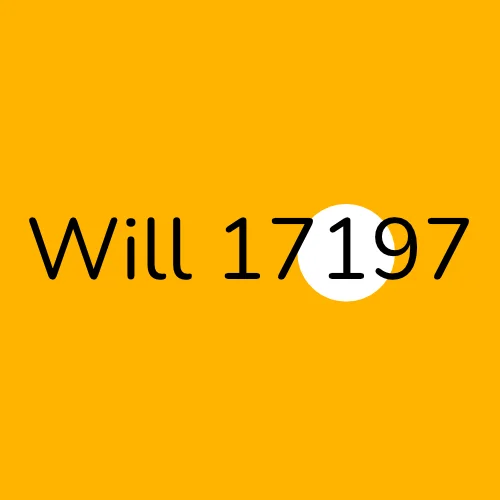 Will 17197 plumber